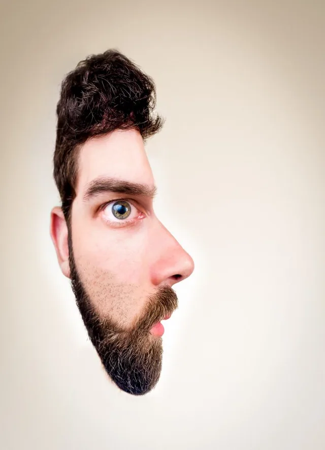 Surreal portrait combining the front and side views of a bearded face.