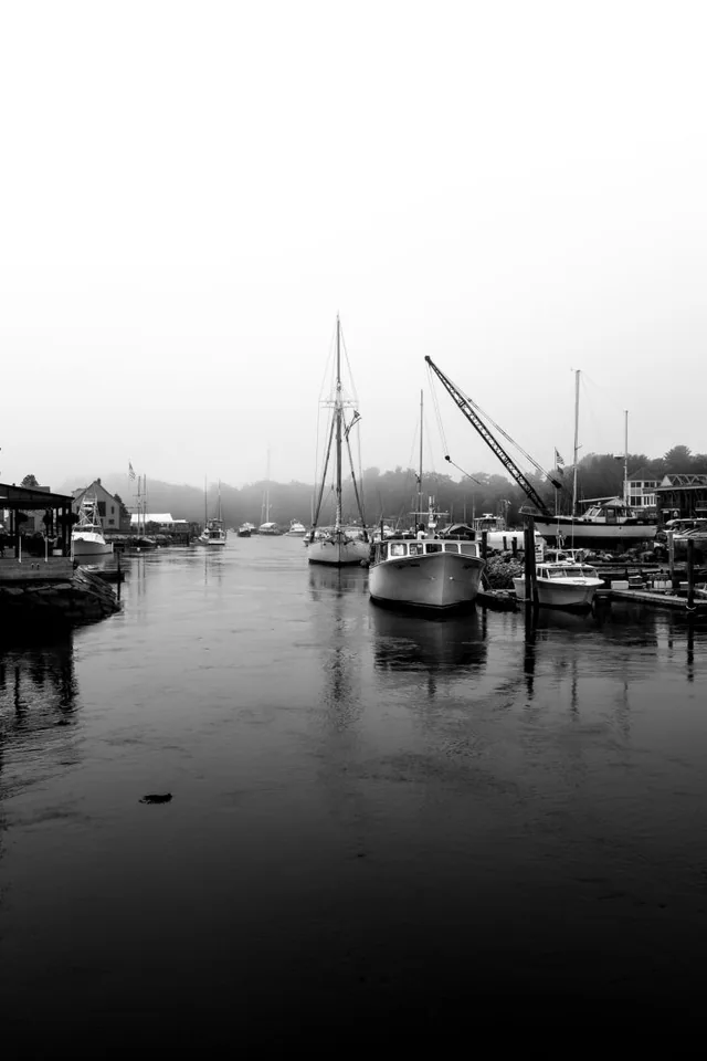 Black-and-white view of boats moored in a calm harbor.