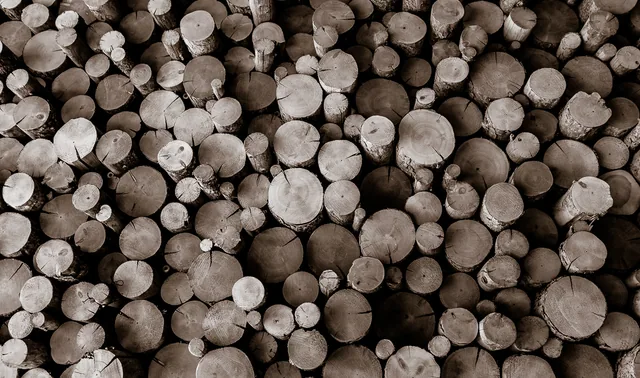 The cut ends of stacked logs form a tightly packed circular pattern.